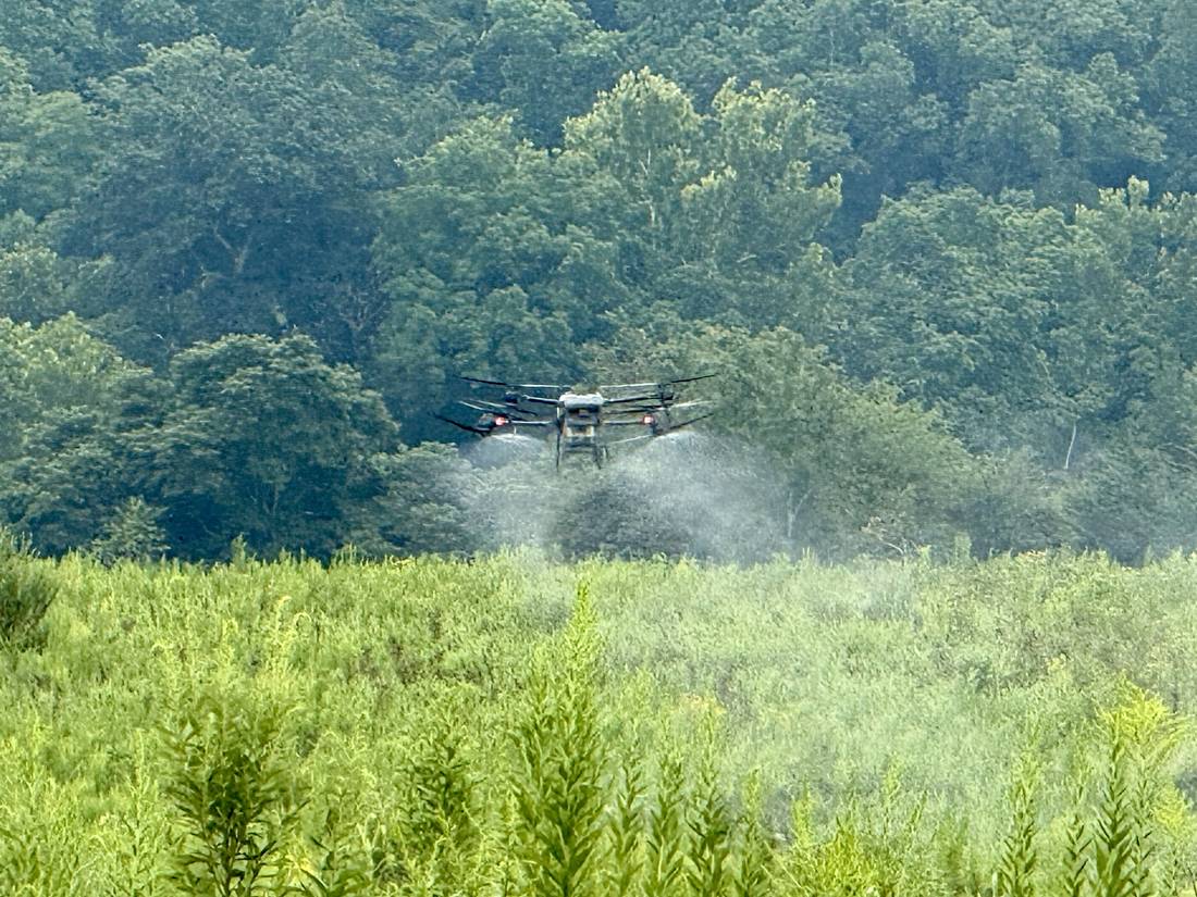 Drone performing a targeted aerial herbicide application over invasive growth.