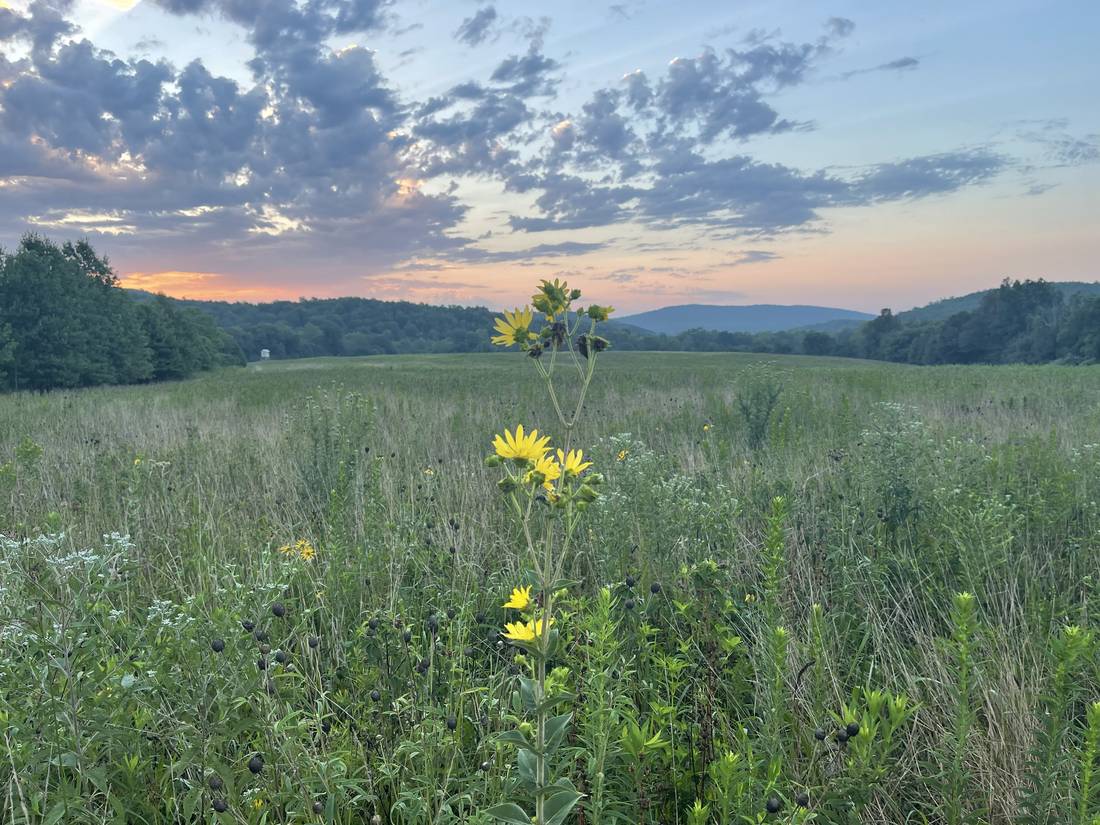 Sunset over the restored prairie and surrounding hills.